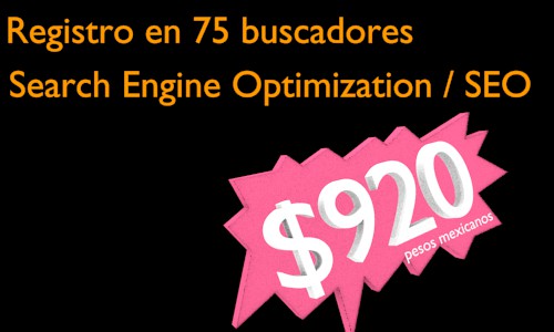 Registro en 75 buscadores SEO